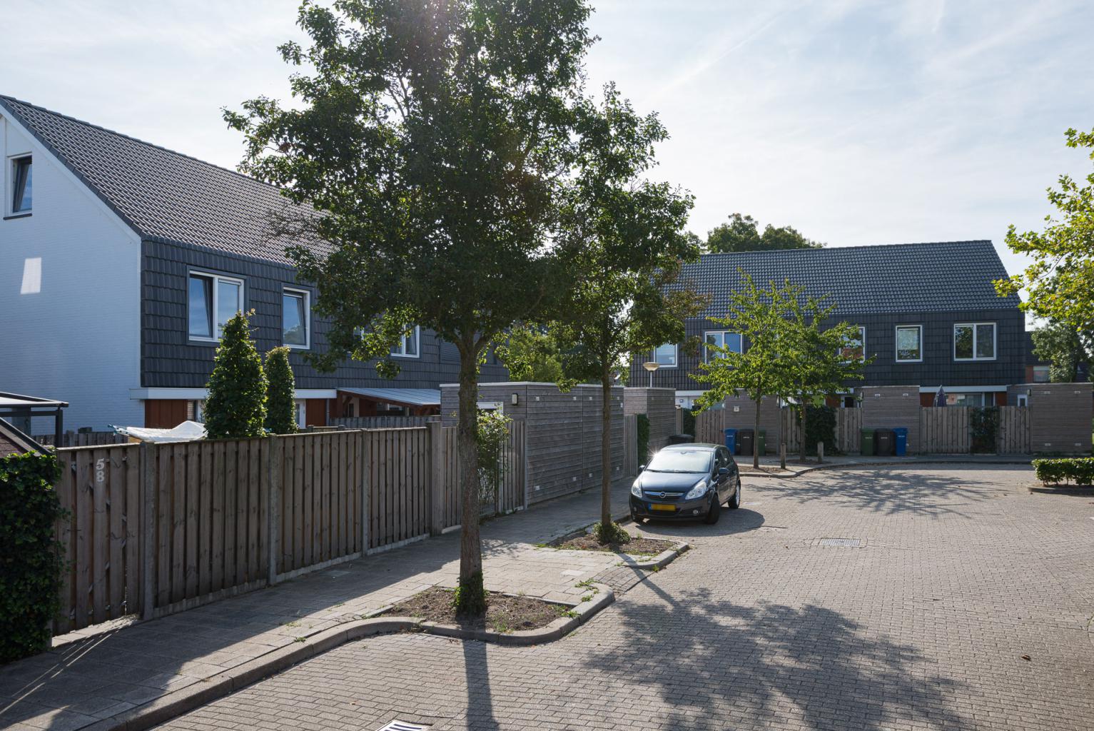 Van Hogendorpware 52