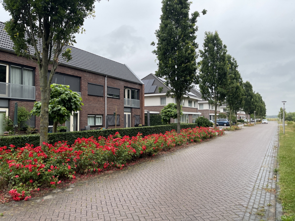 Ahornstraat 20a