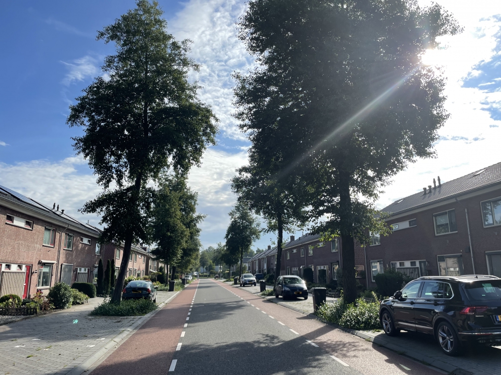 Lage Gaardenstraat 46