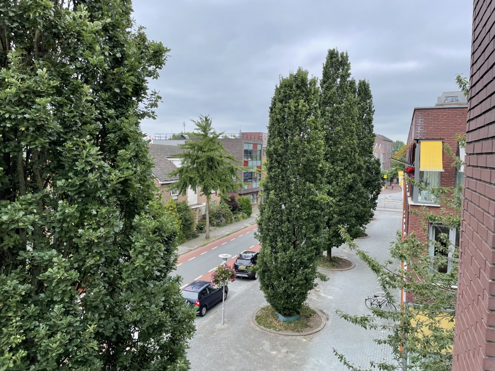 Burgemeester Bramerstraat 168