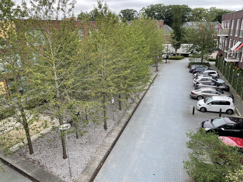 Burgemeester Bramerstraat 168