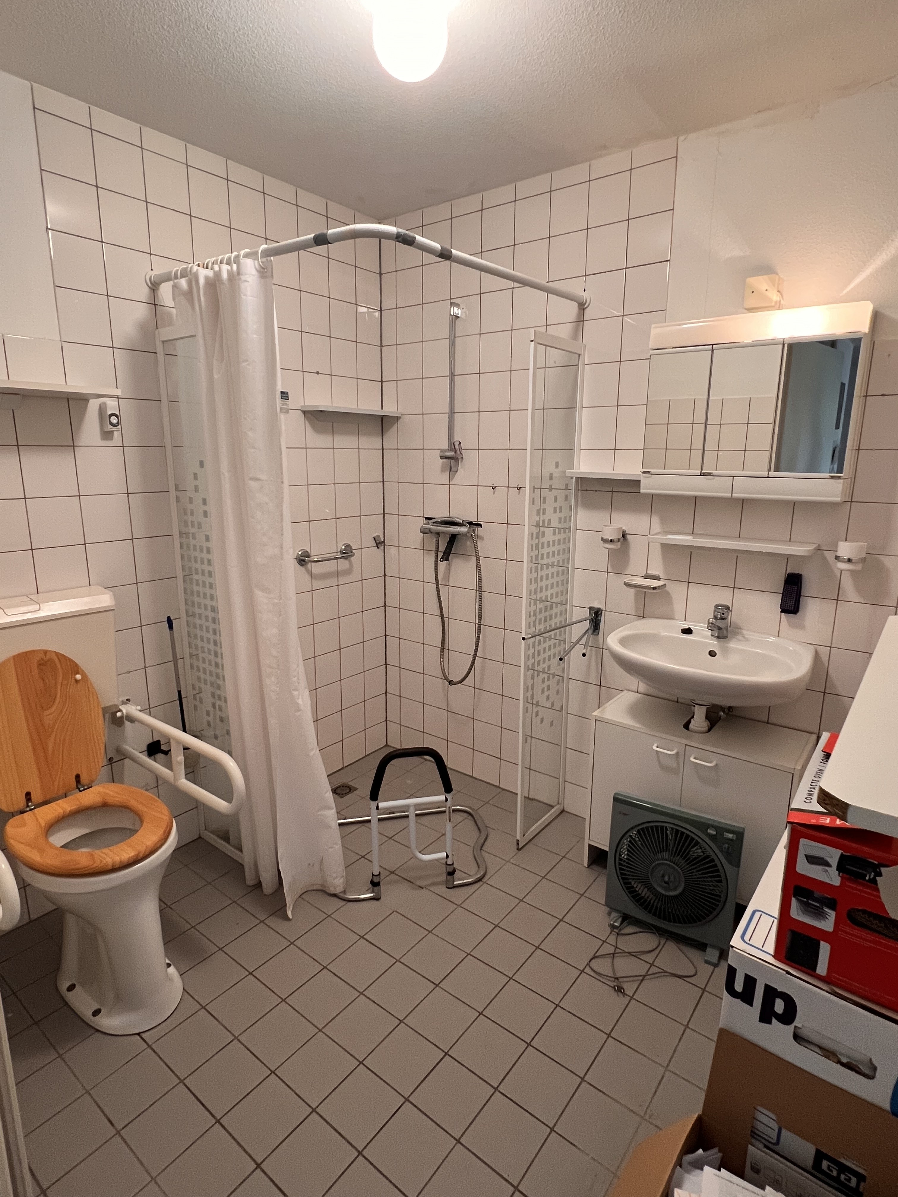 Aalscholver 41