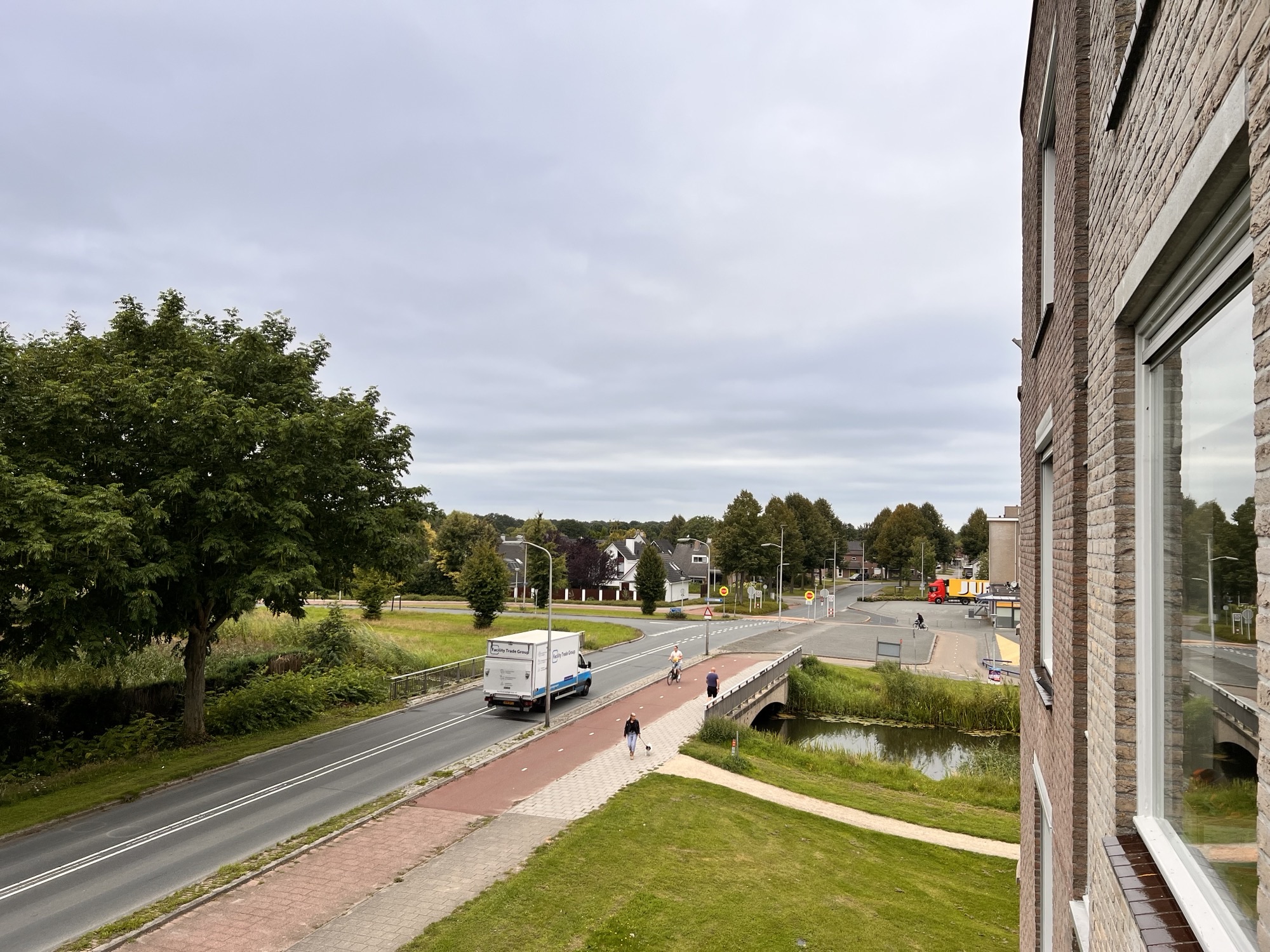 Aalscholver 41