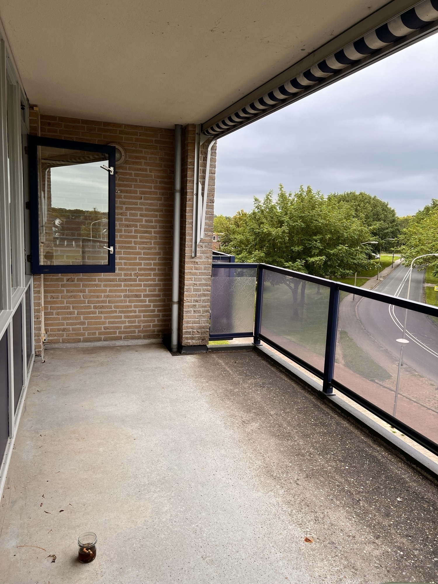 Aalscholver 41