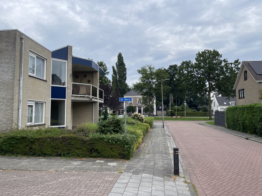De Merel 1
