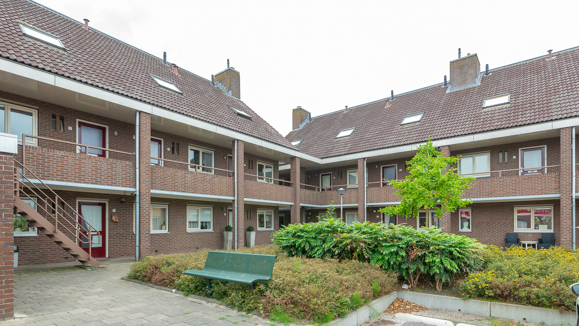 Roerdomp 13