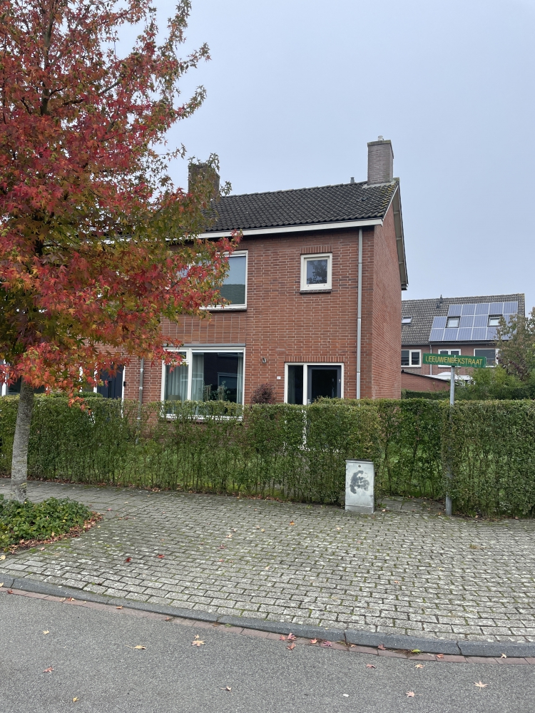 Leeuwenbekstraat 41