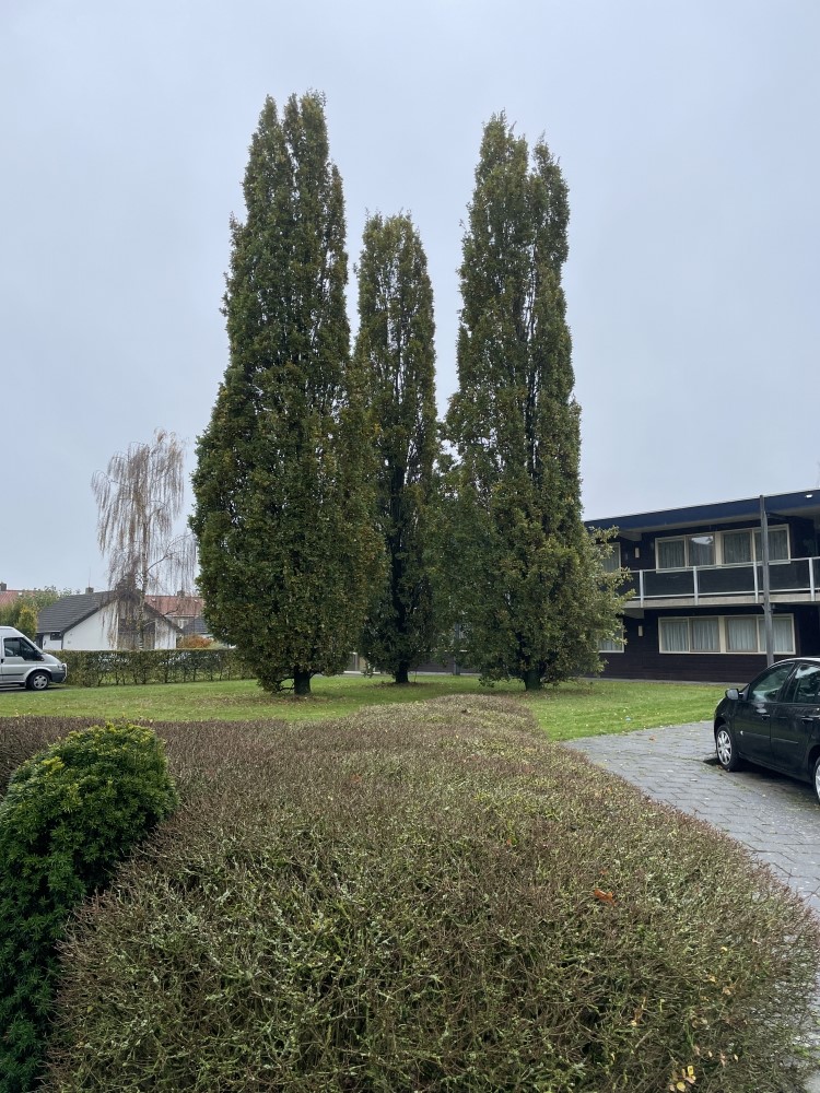 Baron van Fridaghstraat 99