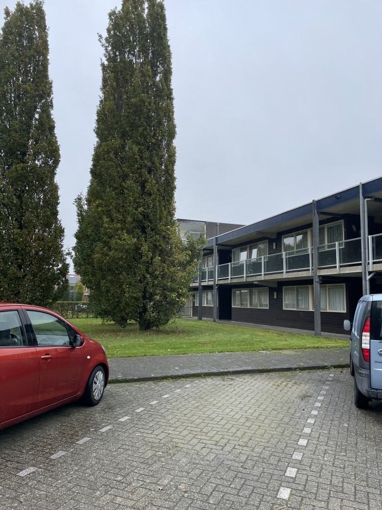 Baron van Fridaghstraat 99