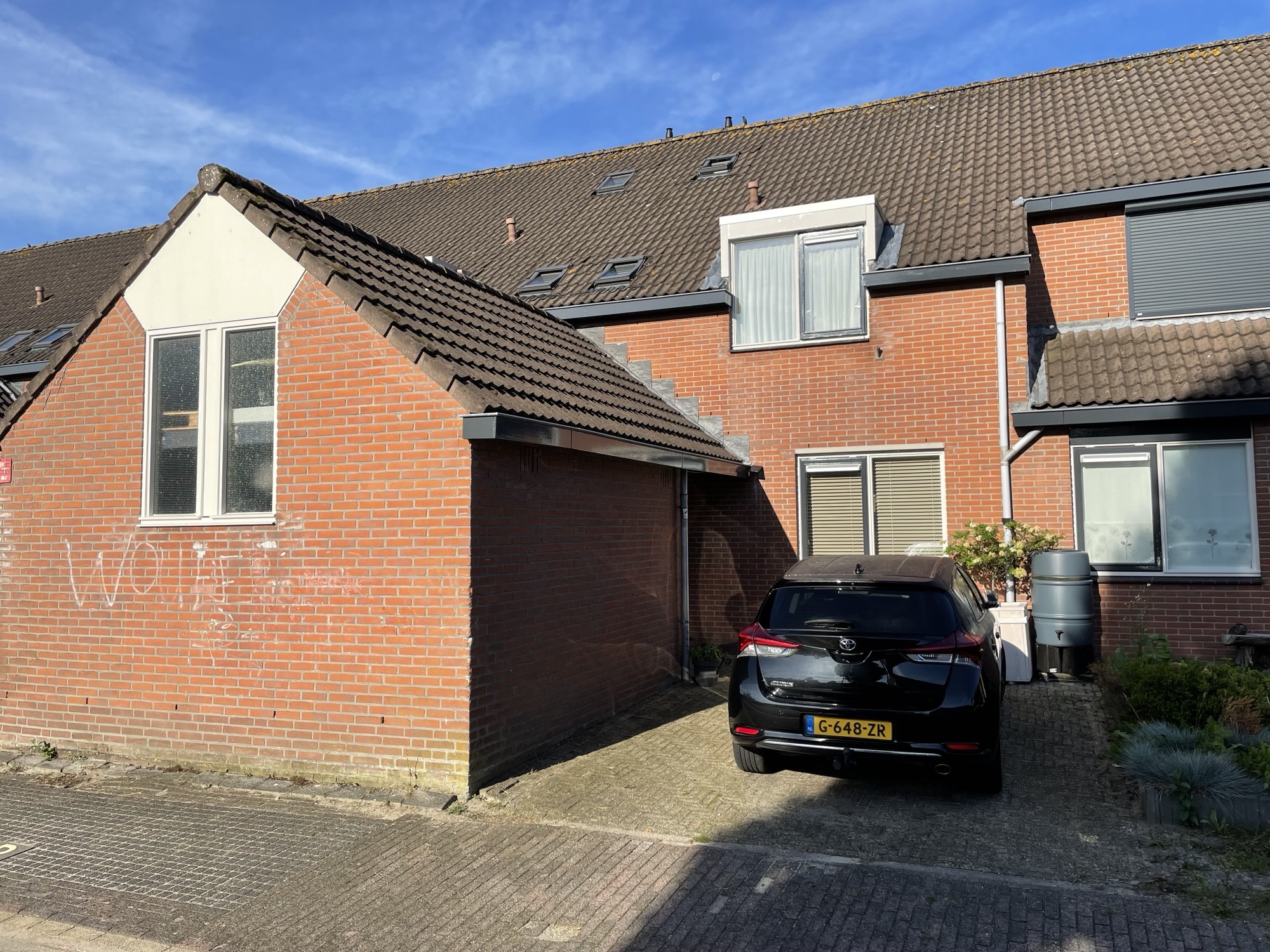 Kattedoorn 3