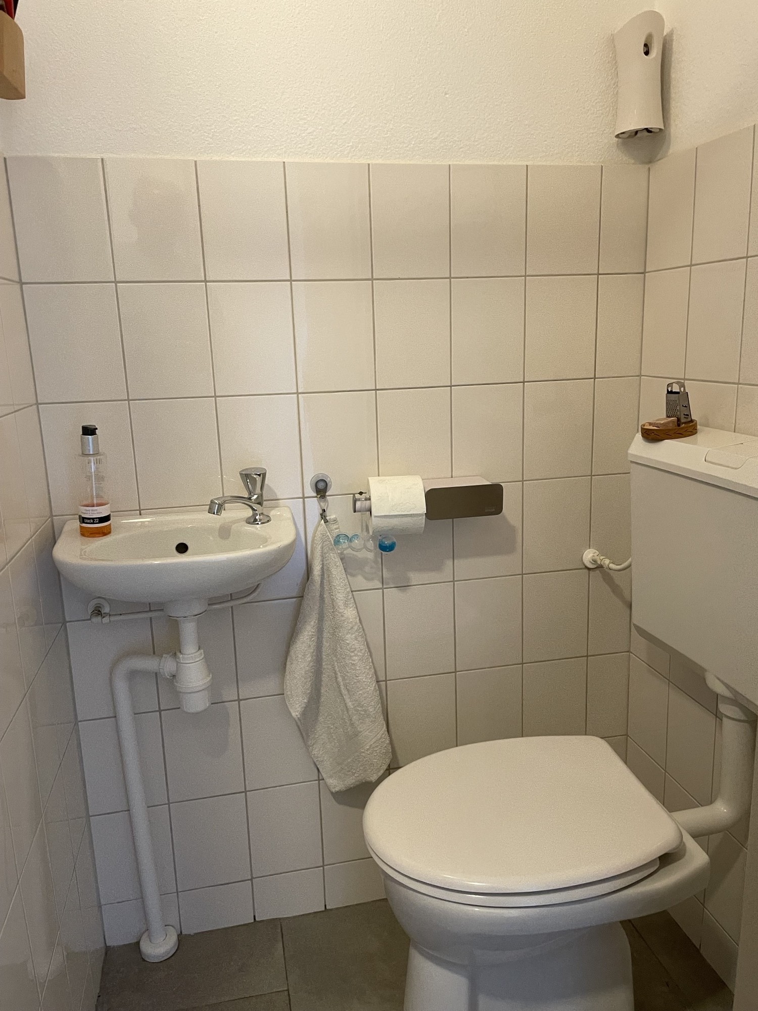 Kattedoorn 3