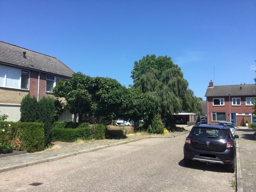 Lagendijkstraat 14
