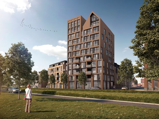 Nachtegaalstraat 19, 8011 AV Zwolle, Nederland