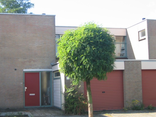 Amer 29, 8032 GL Zwolle, Nederland