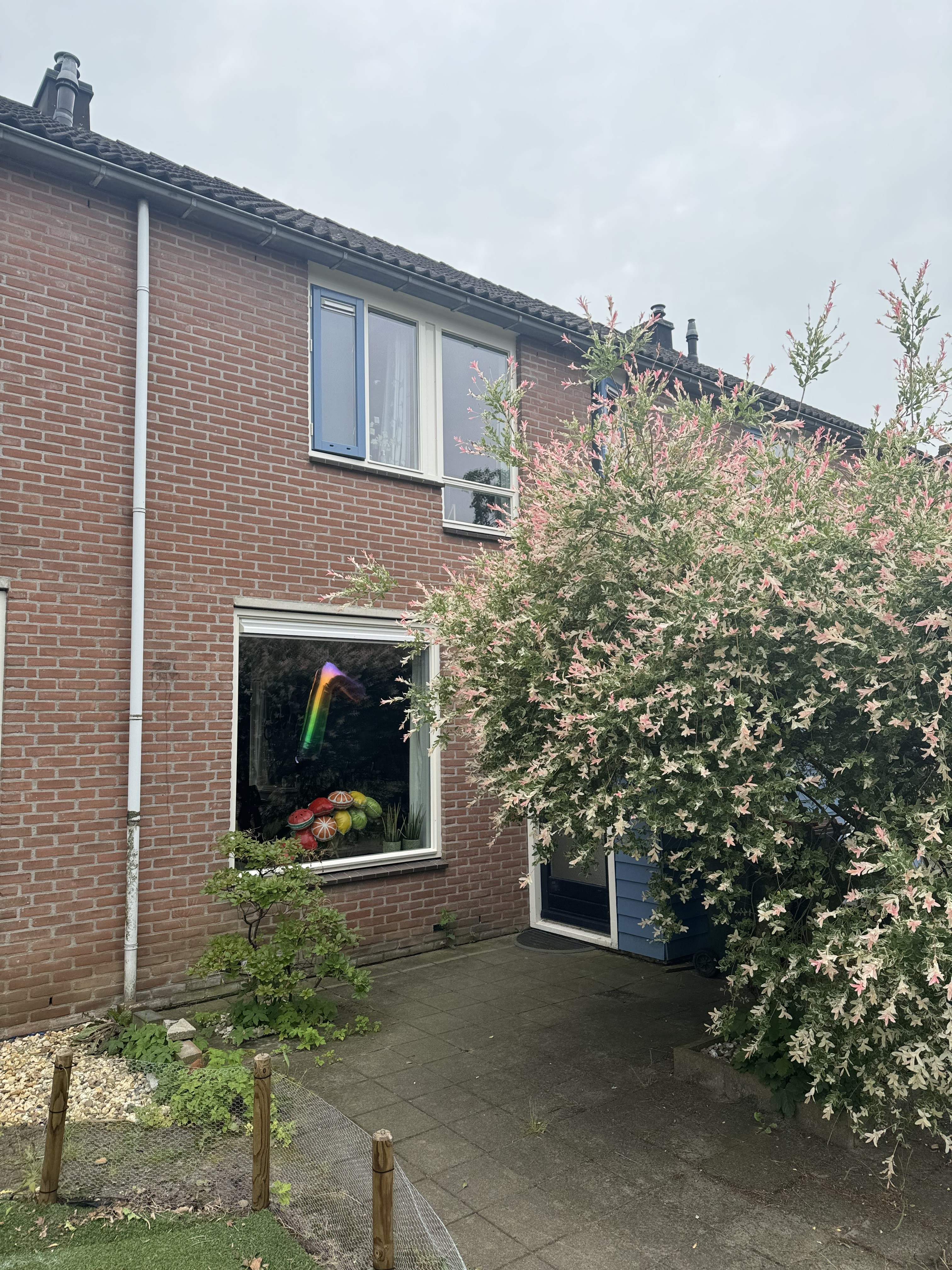 Langkamp 69, 7721 WN Dalfsen, Nederland