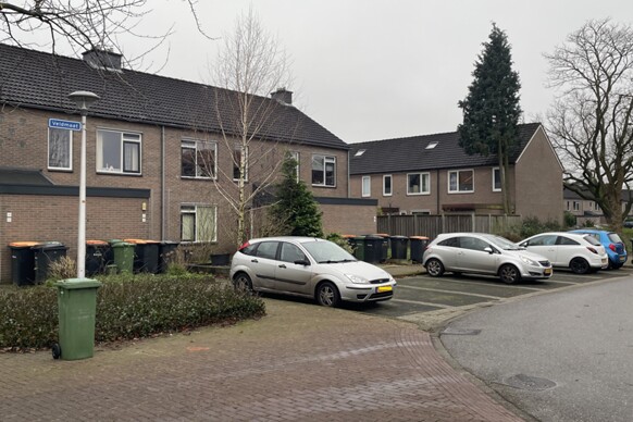 De Bree 43