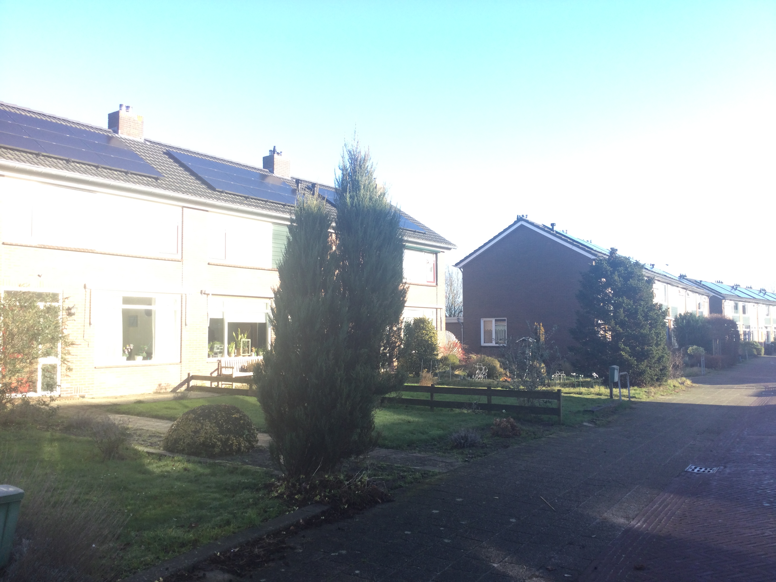 Goudenregenstraat 43