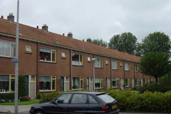 Kievitstraat 77