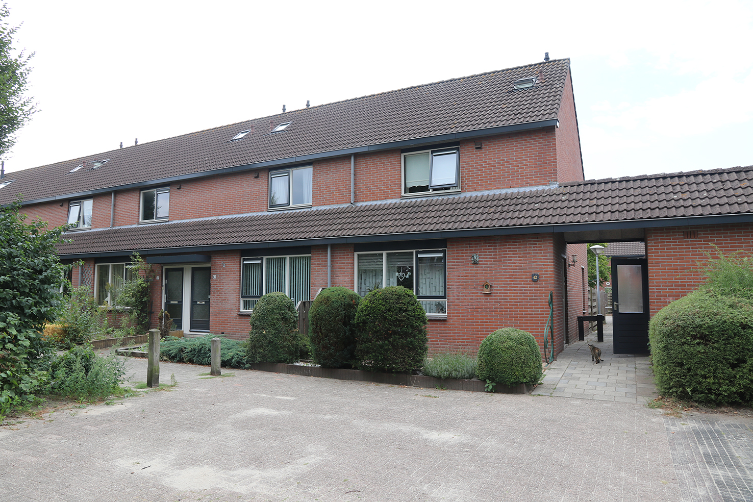 Kattedoorn 38