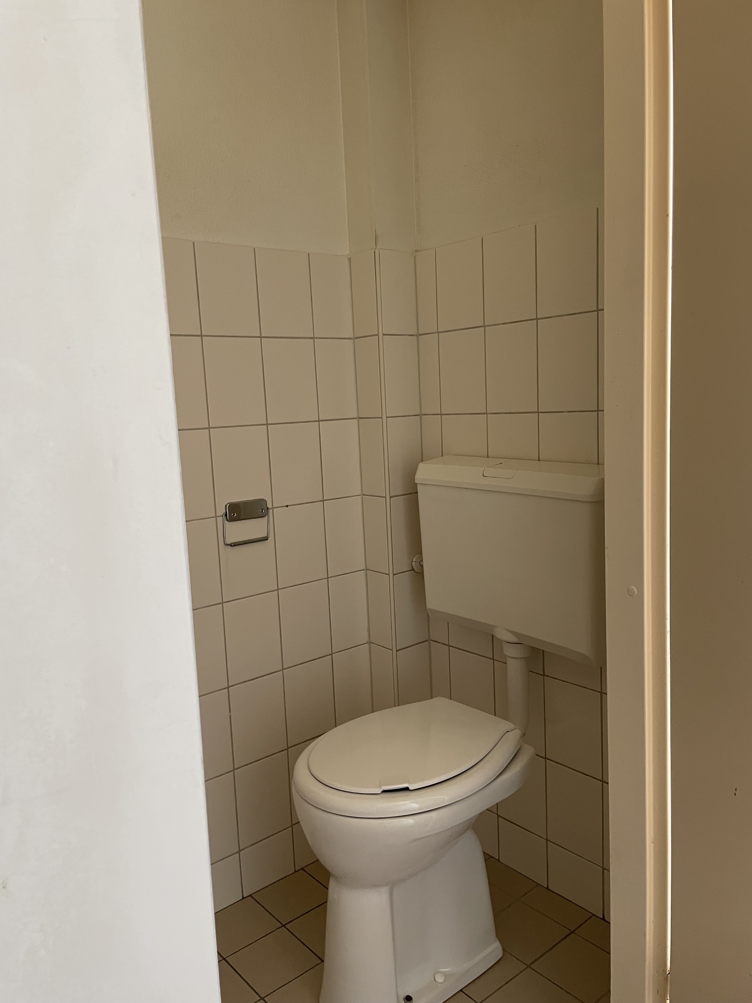Kattedoorn 38