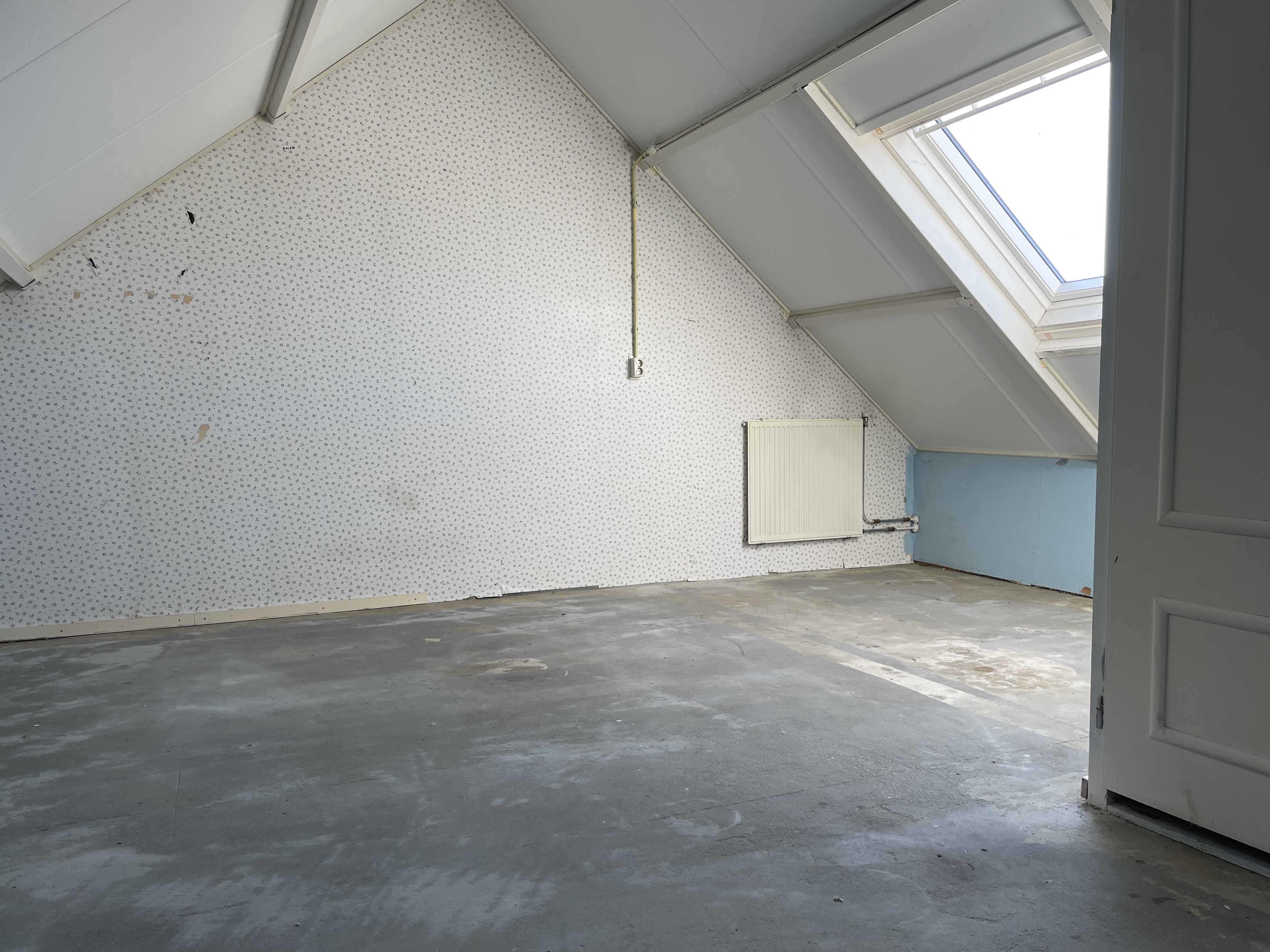 Kattedoorn 38