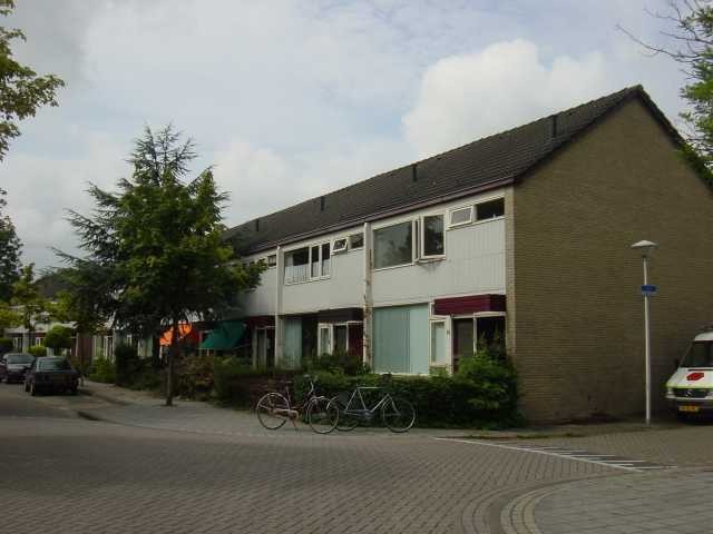 Tormentil 23