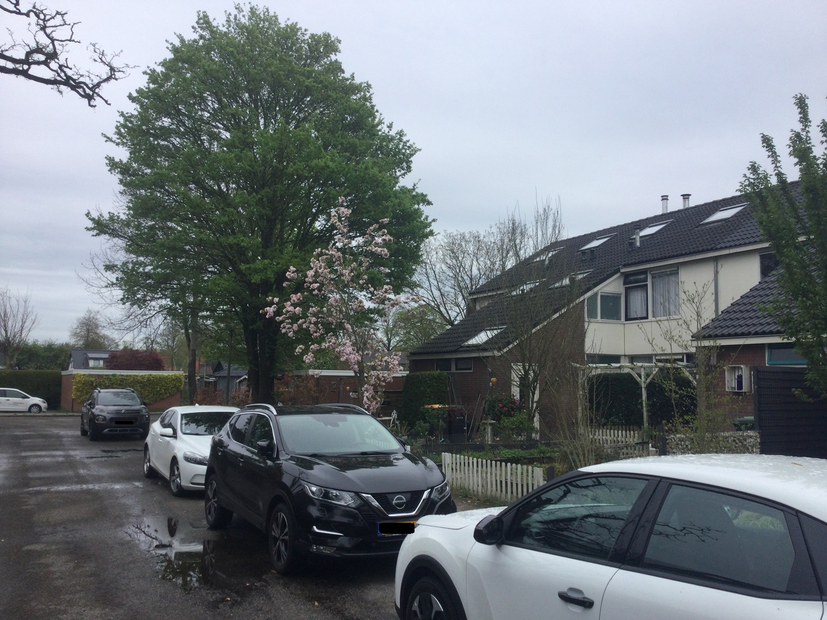 Pinksterbloemstraat 52