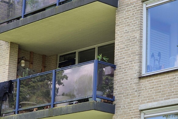 Aalscholver 30