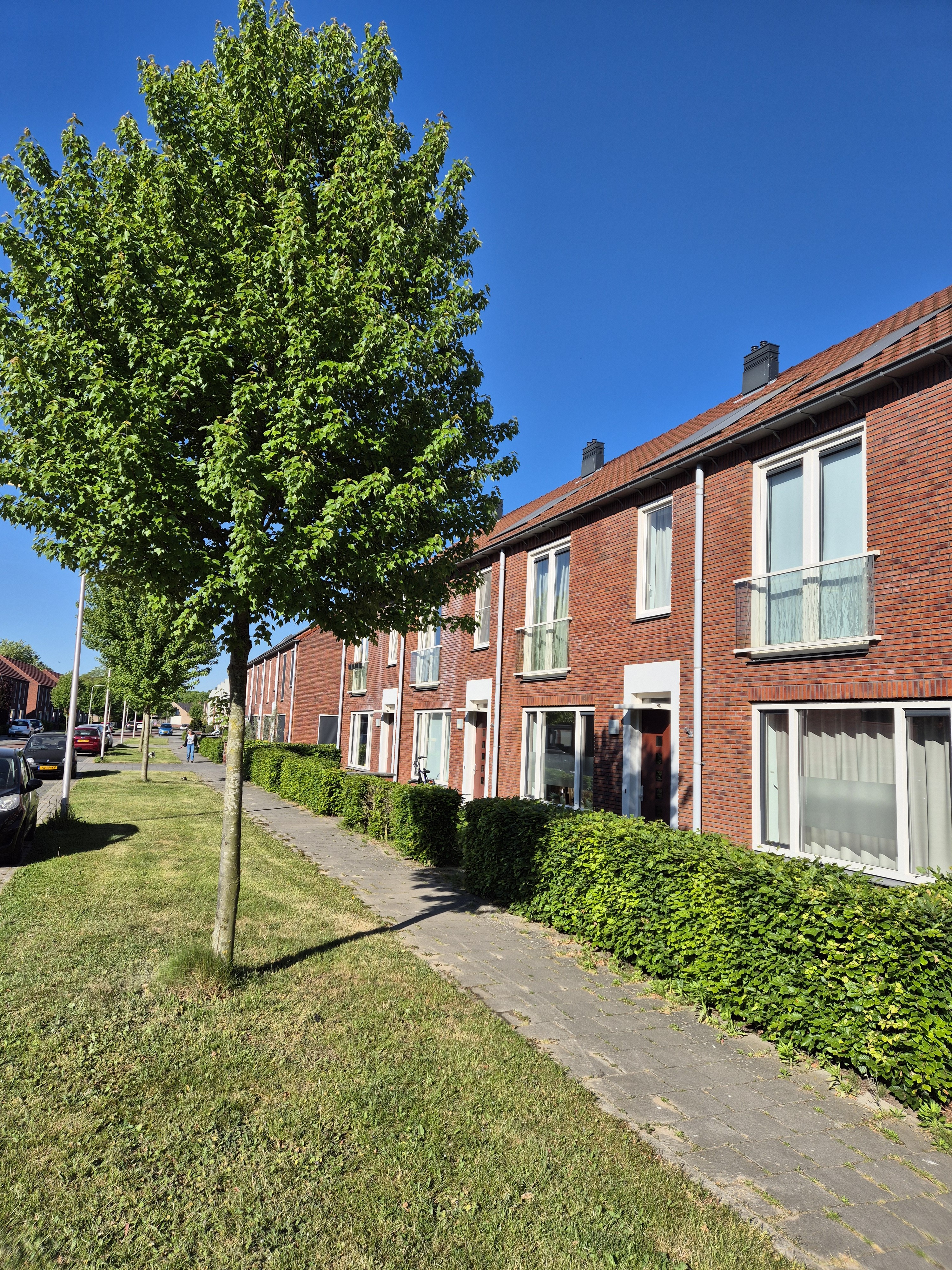 Rozenstraat 14, 8102 ZP Raalte, Nederland