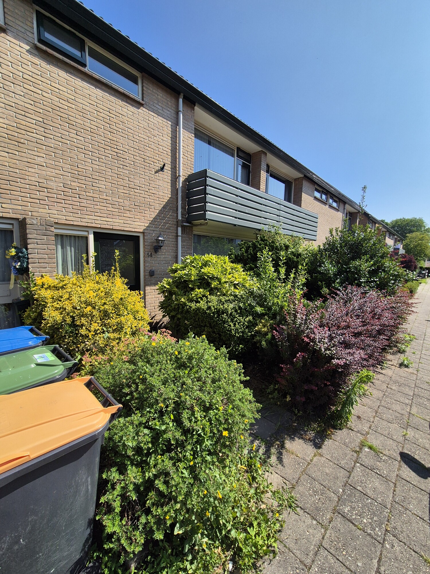 Schimmelpenninckstraat 14
