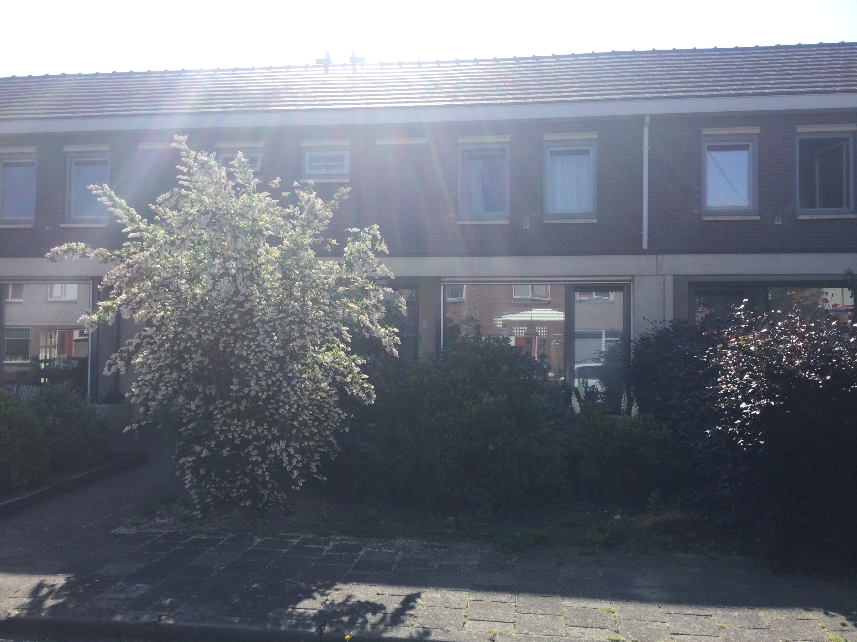 Van Limburg Stirumstraat 22, 7691 AZ Bergentheim, Nederland