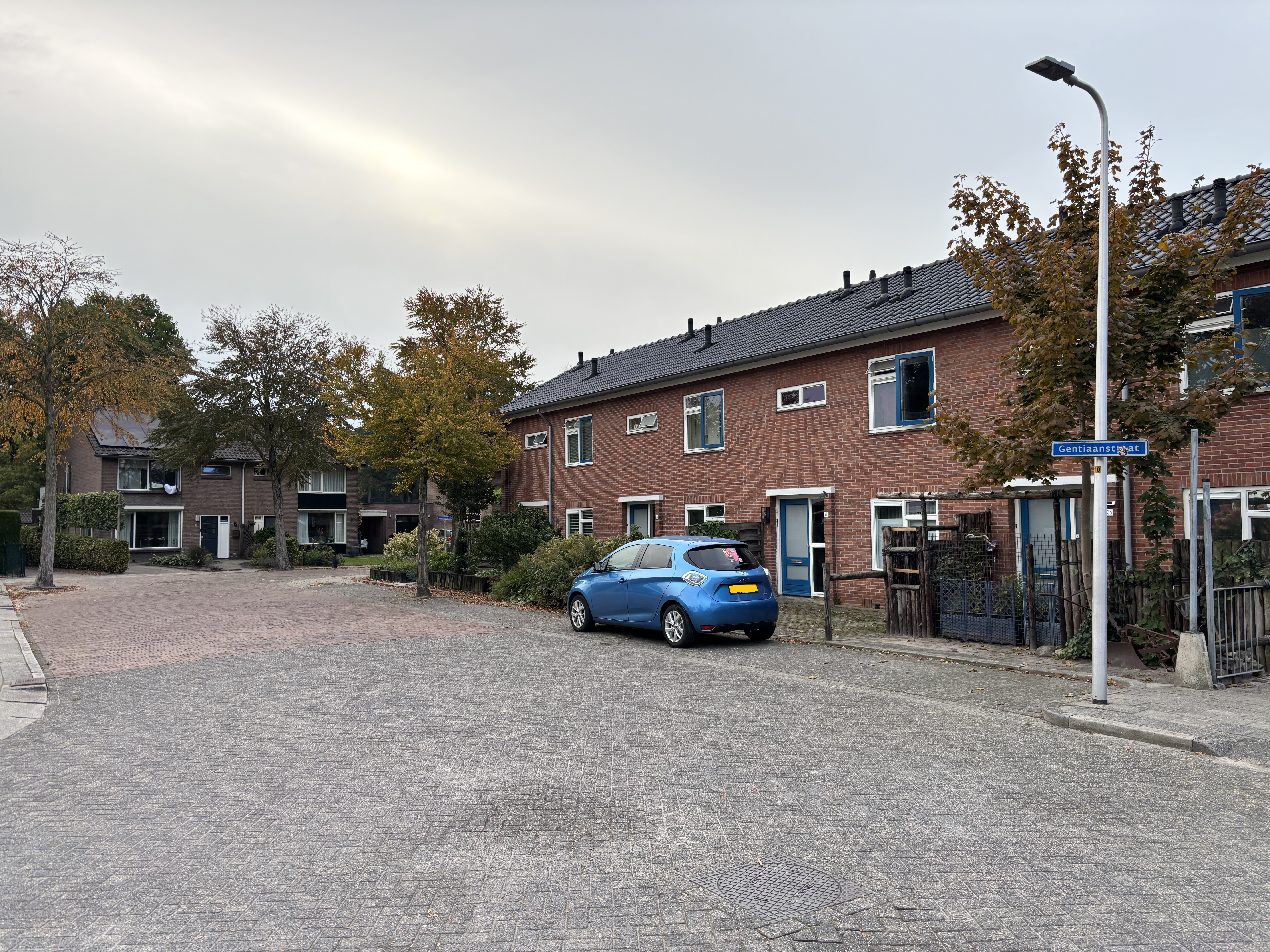 Gentiaanstraat 37