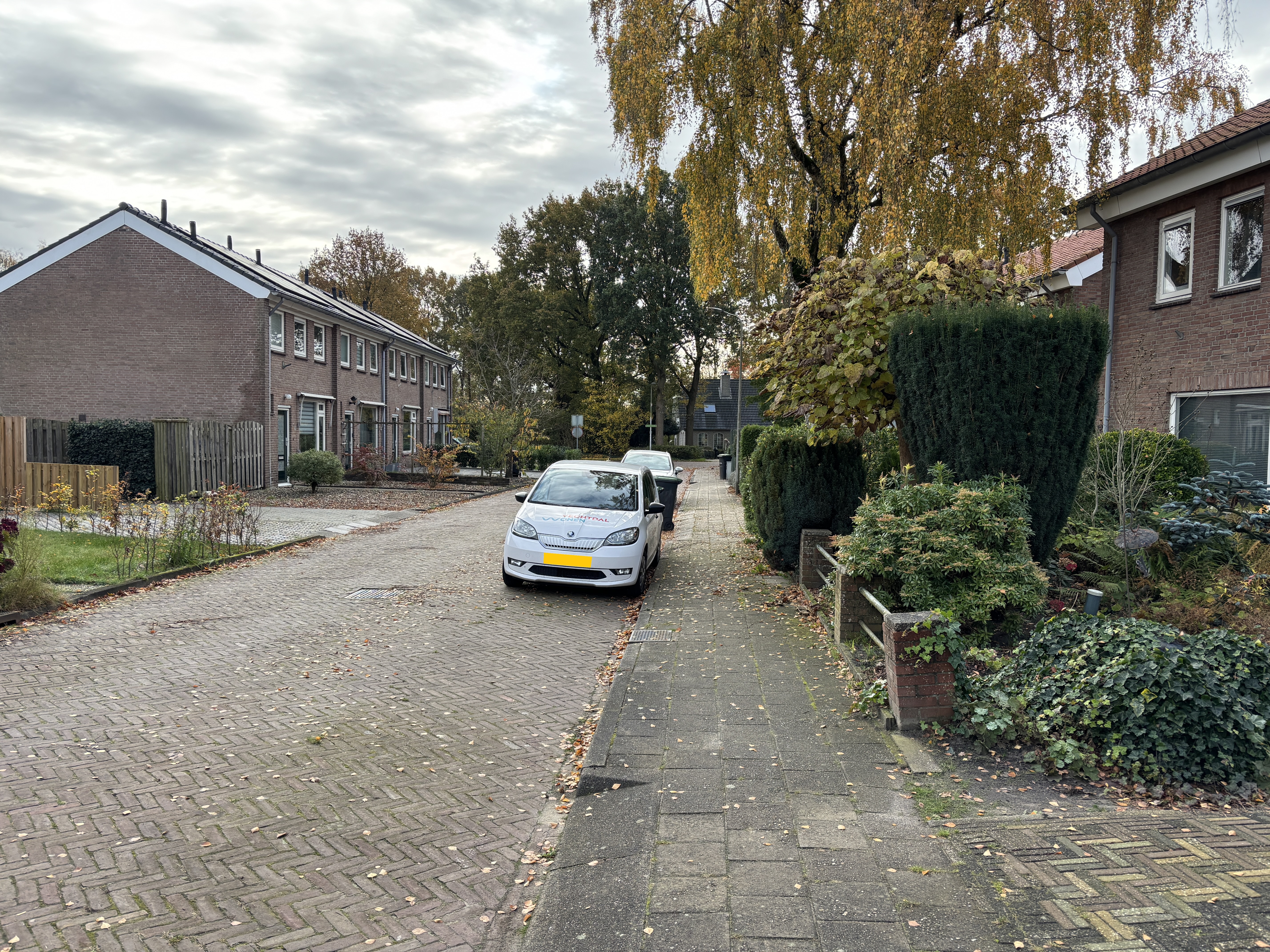 Witte de Withstraat 10