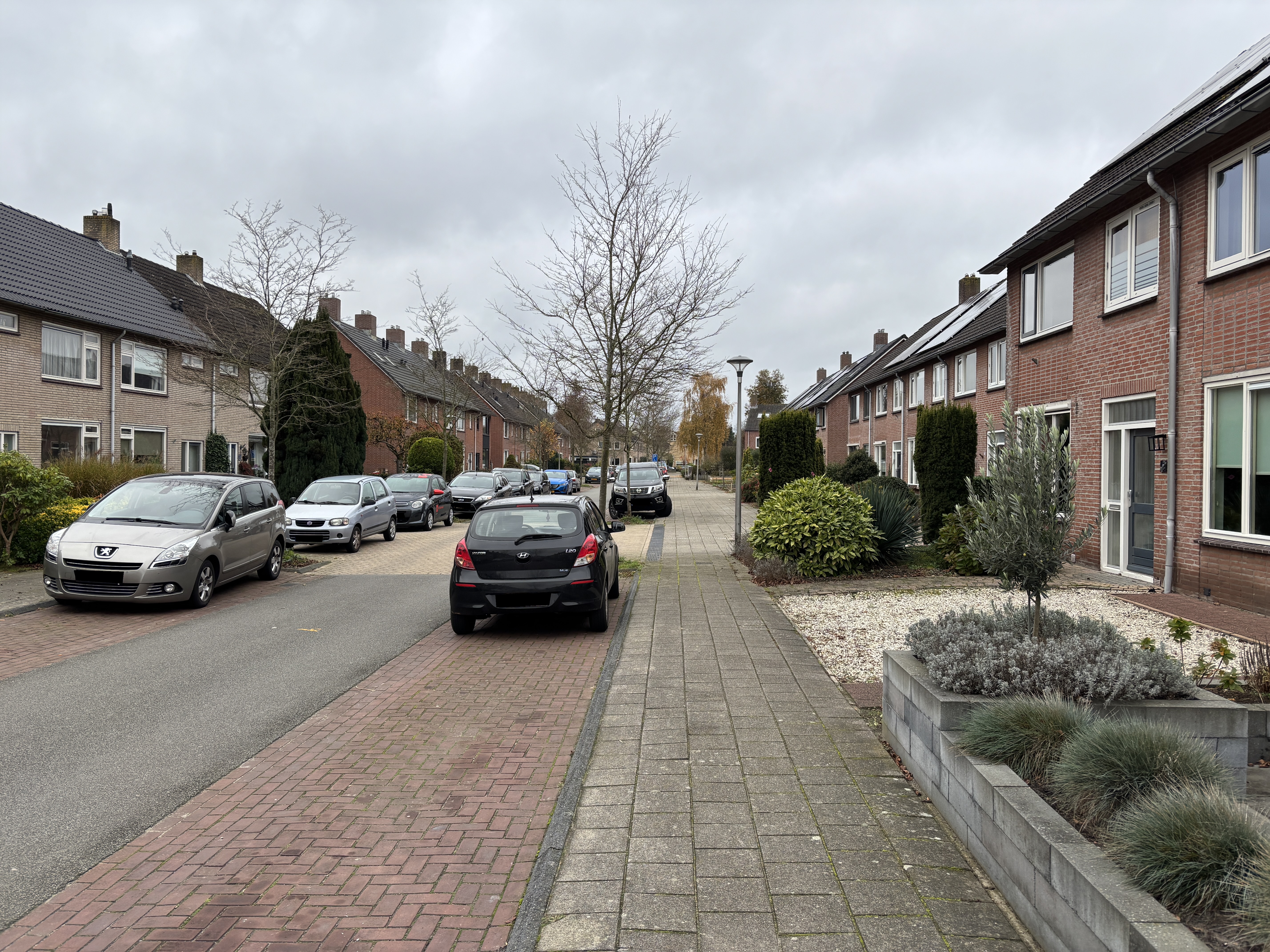 Violenstraat 23