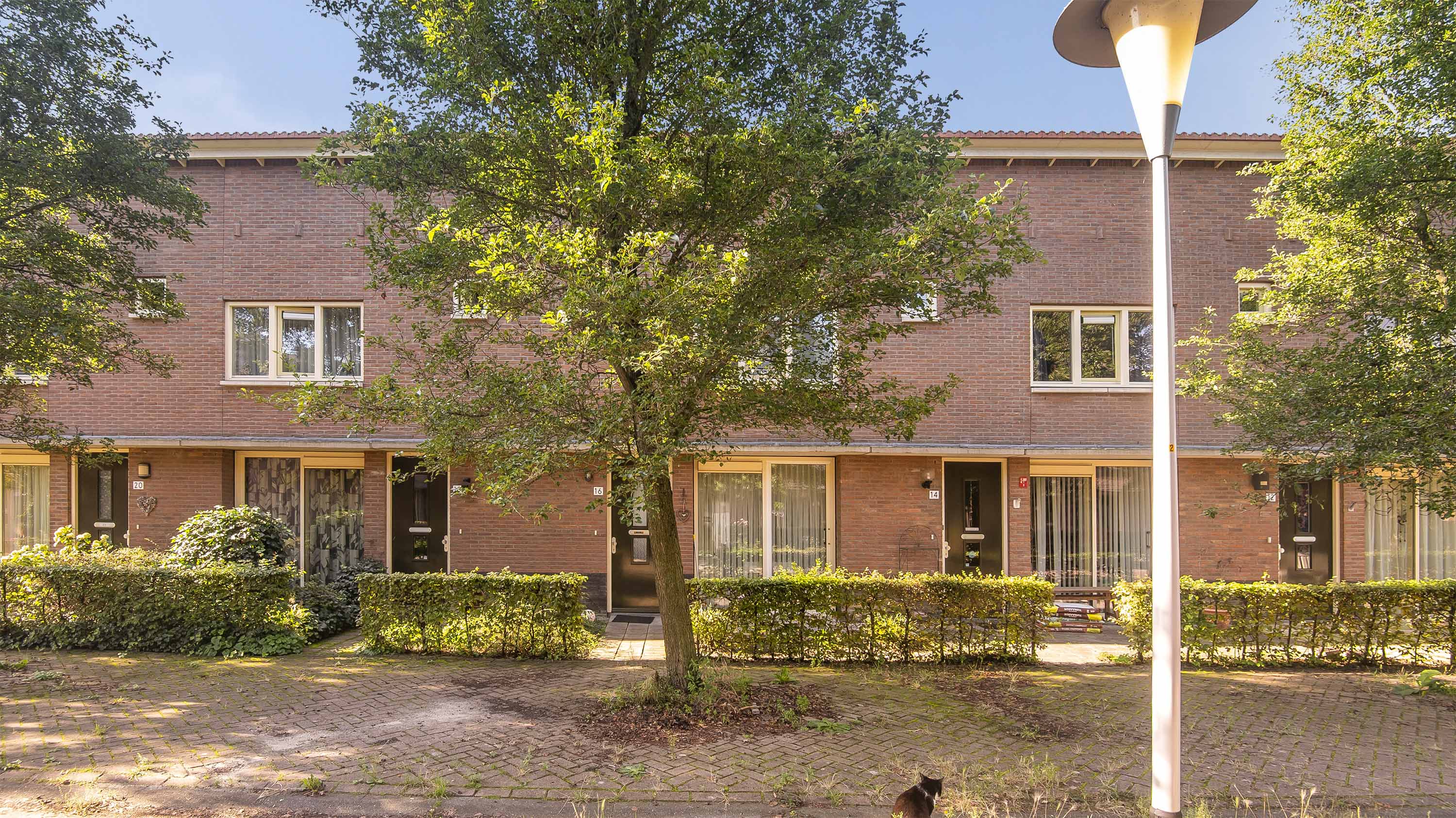 Pluimzegge 16, 8043 LE Zwolle, Nederland