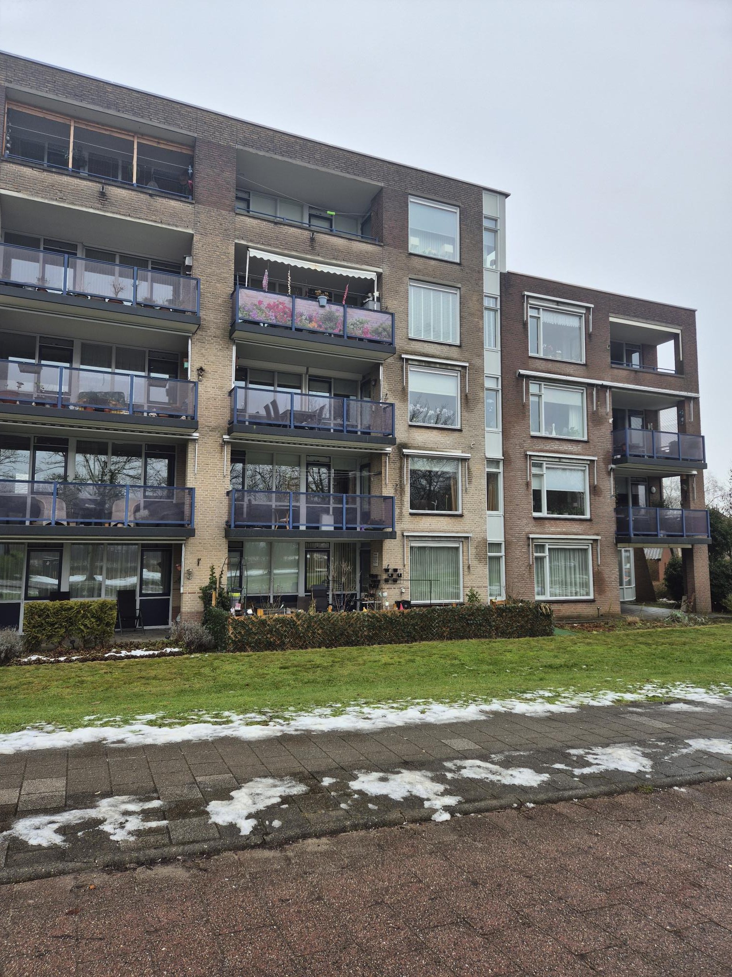 Aalscholver 12, 8103 DD Raalte, Nederland