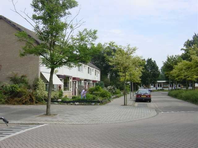 vrije-sector-woningen te huur op Tormentil 9