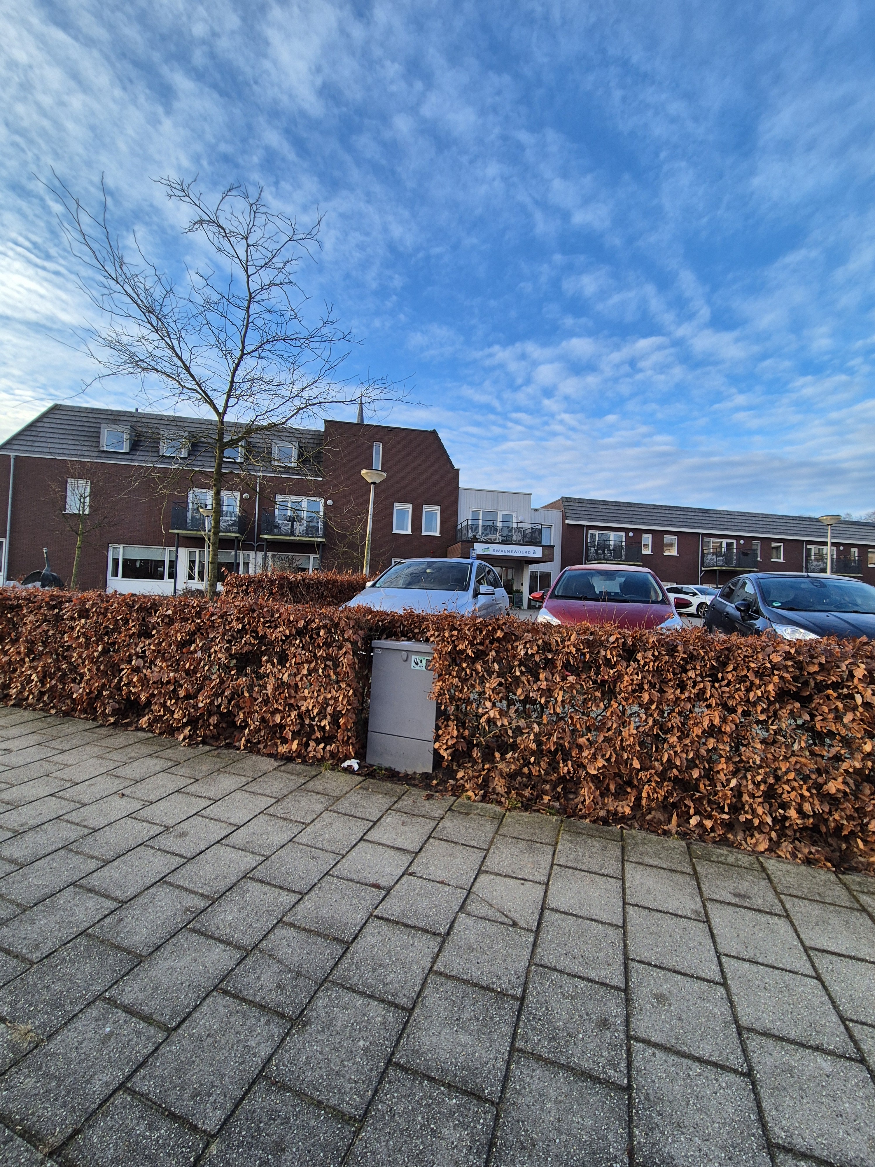 Zwanenwoerd 23, 8102 BJ Raalte, Nederland