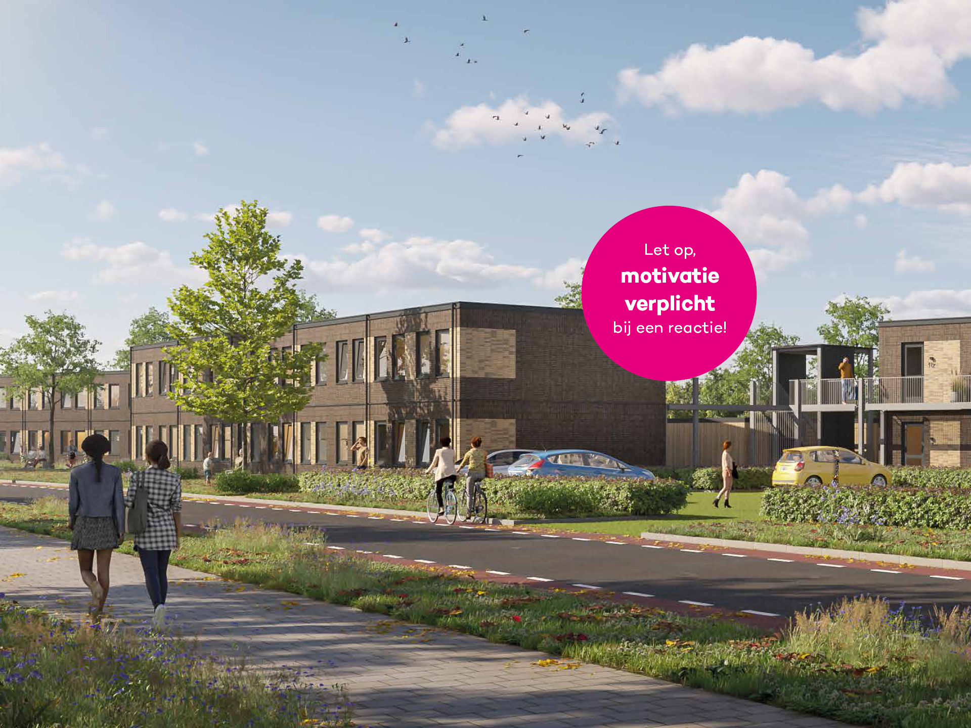 Steenanjer , 7742 Coevorden, Nederland