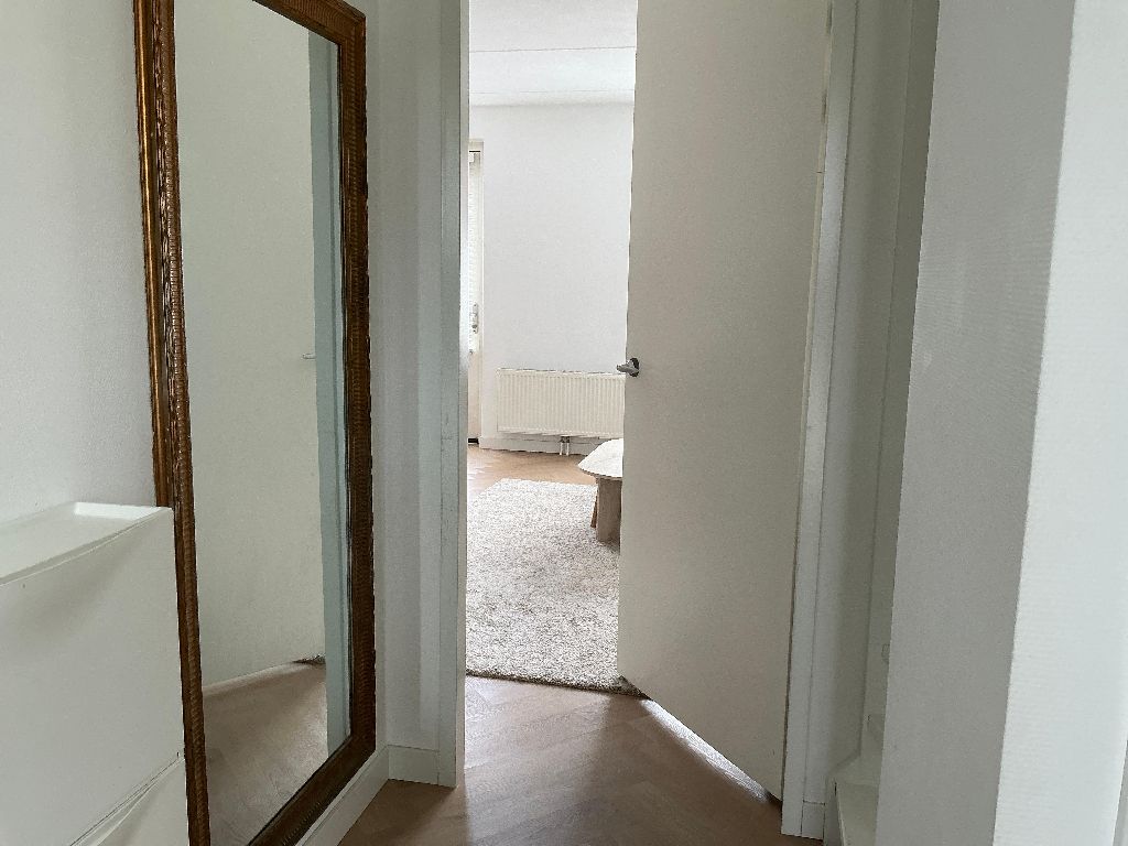 Schietwilg 5