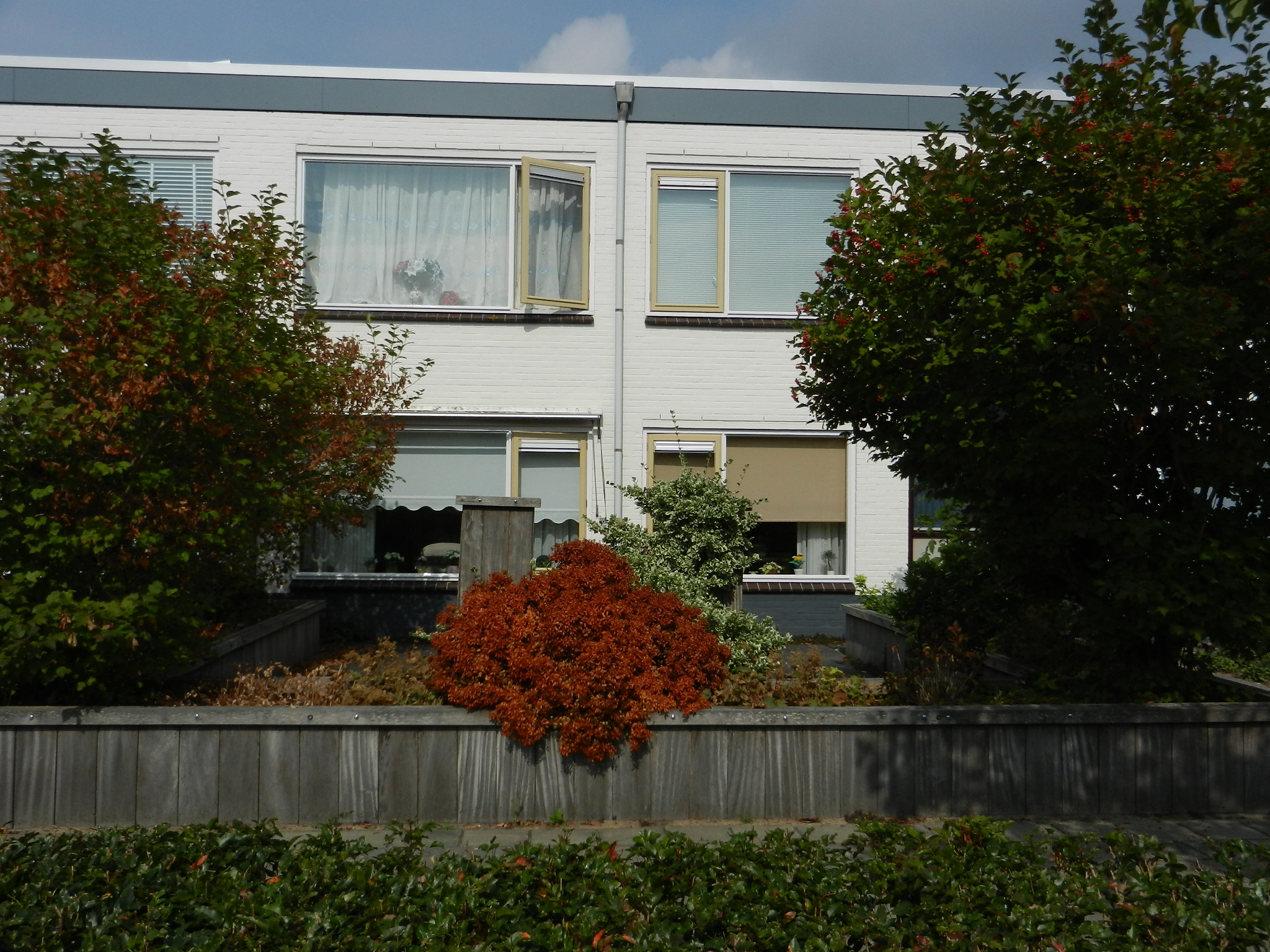 Post Grevestraat 18