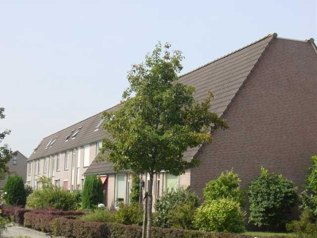 Burgemeester Oldenhoflaan 25, 8264 BP Kampen, Nederland