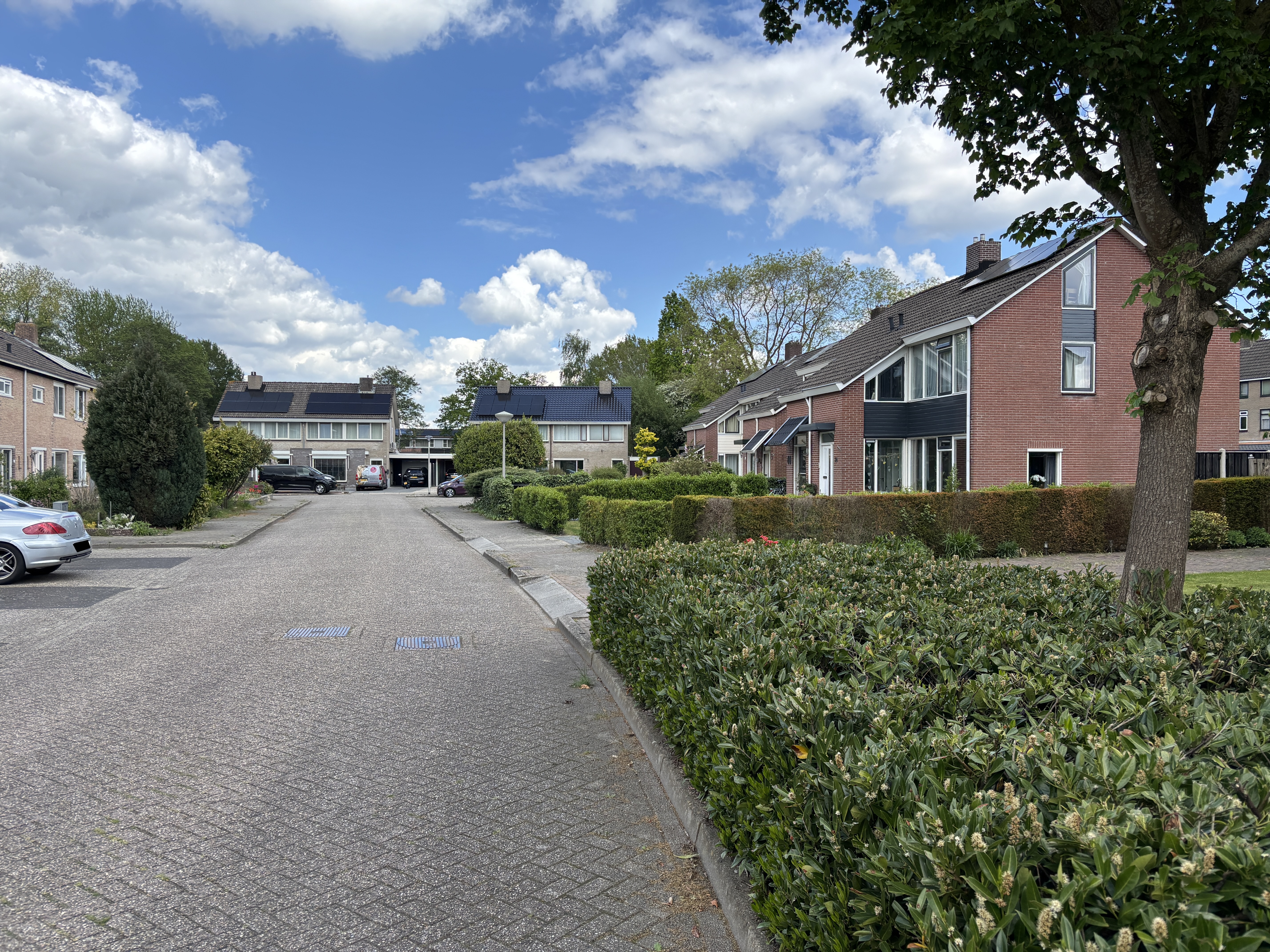 Reigerstraat 36