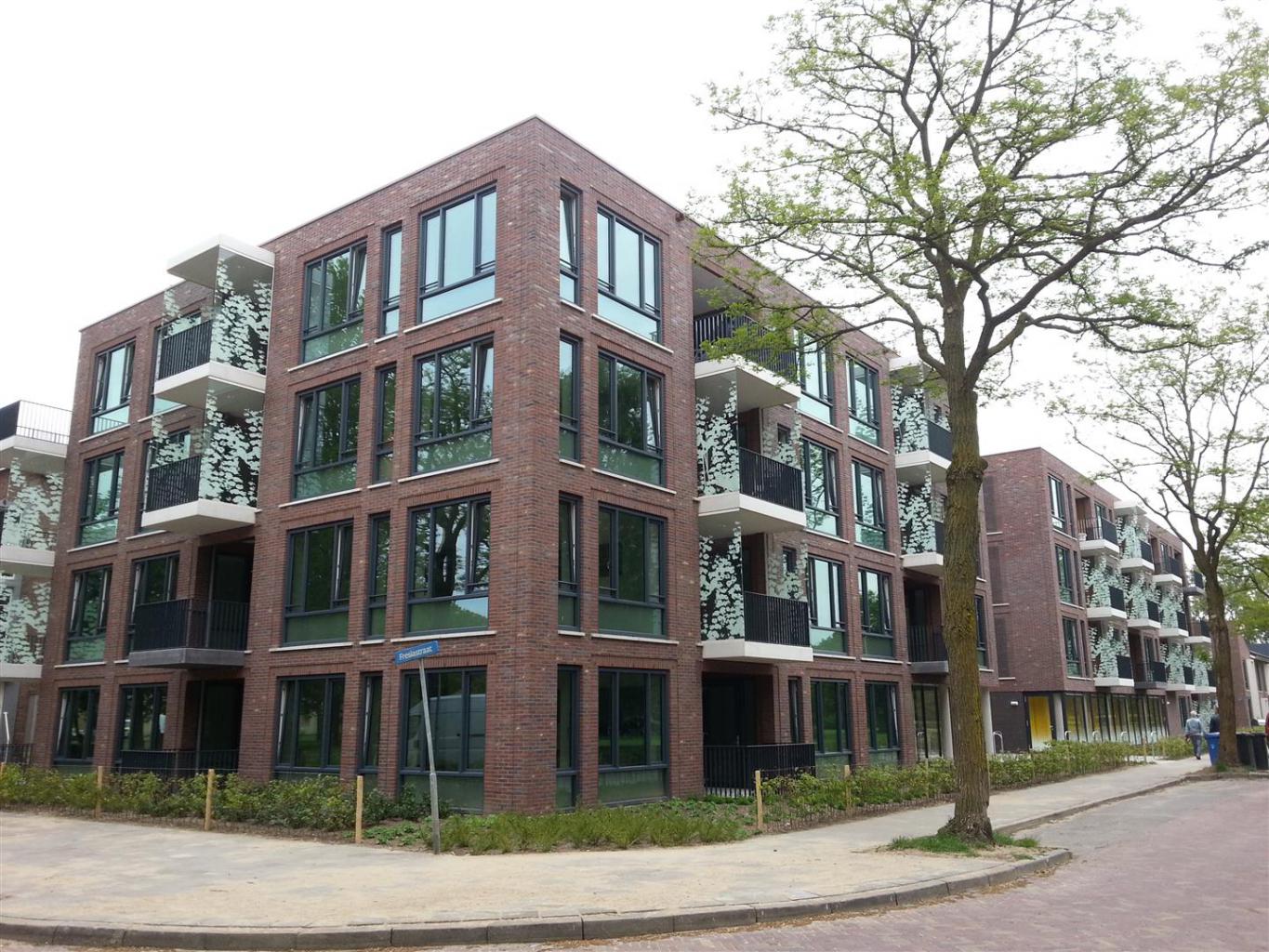 Mimosastraat 114, 8013 SH Zwolle, Nederland