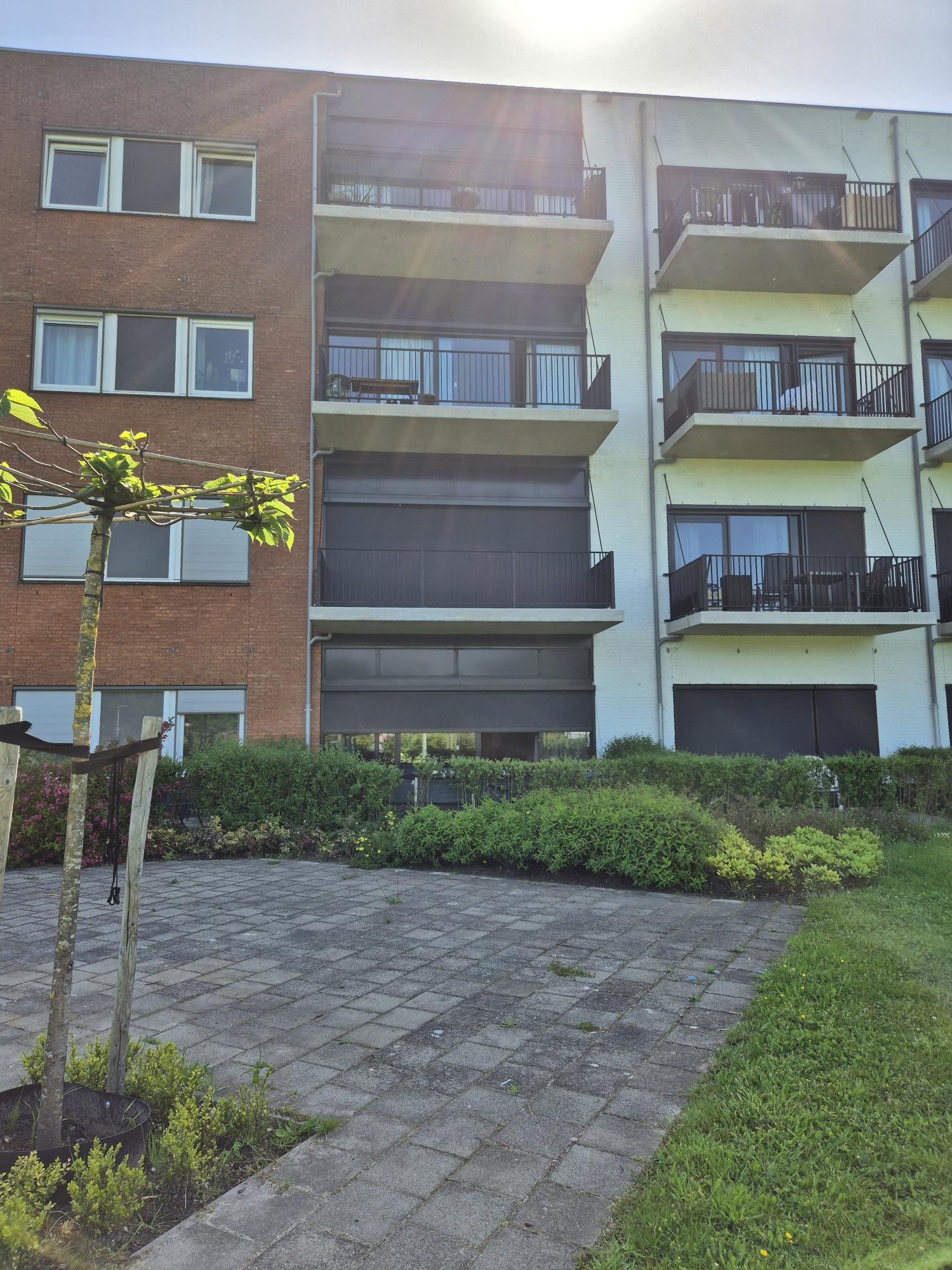 Arkelstein 10, 8103 PA Raalte, Nederland