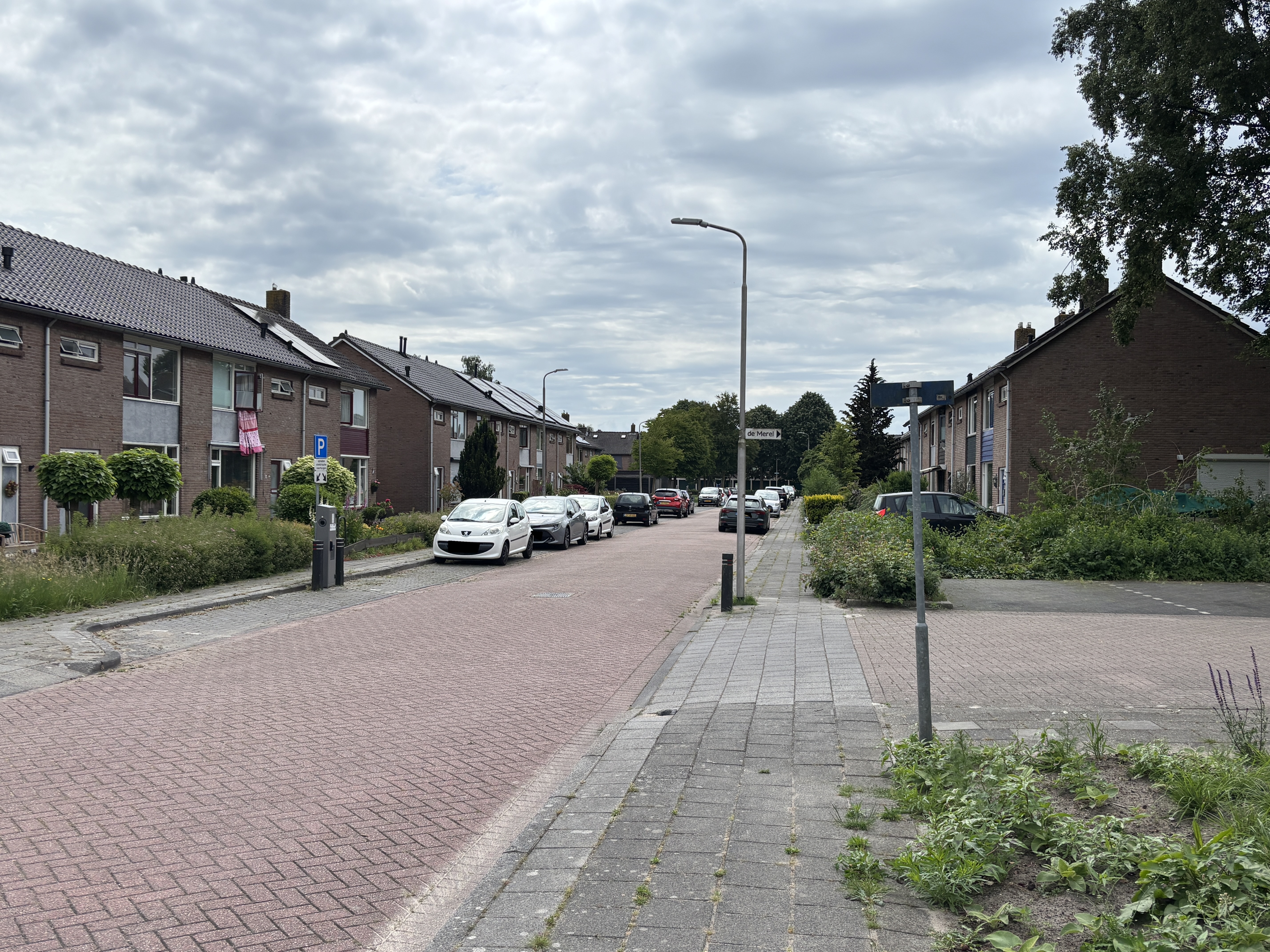 De Merel 10
