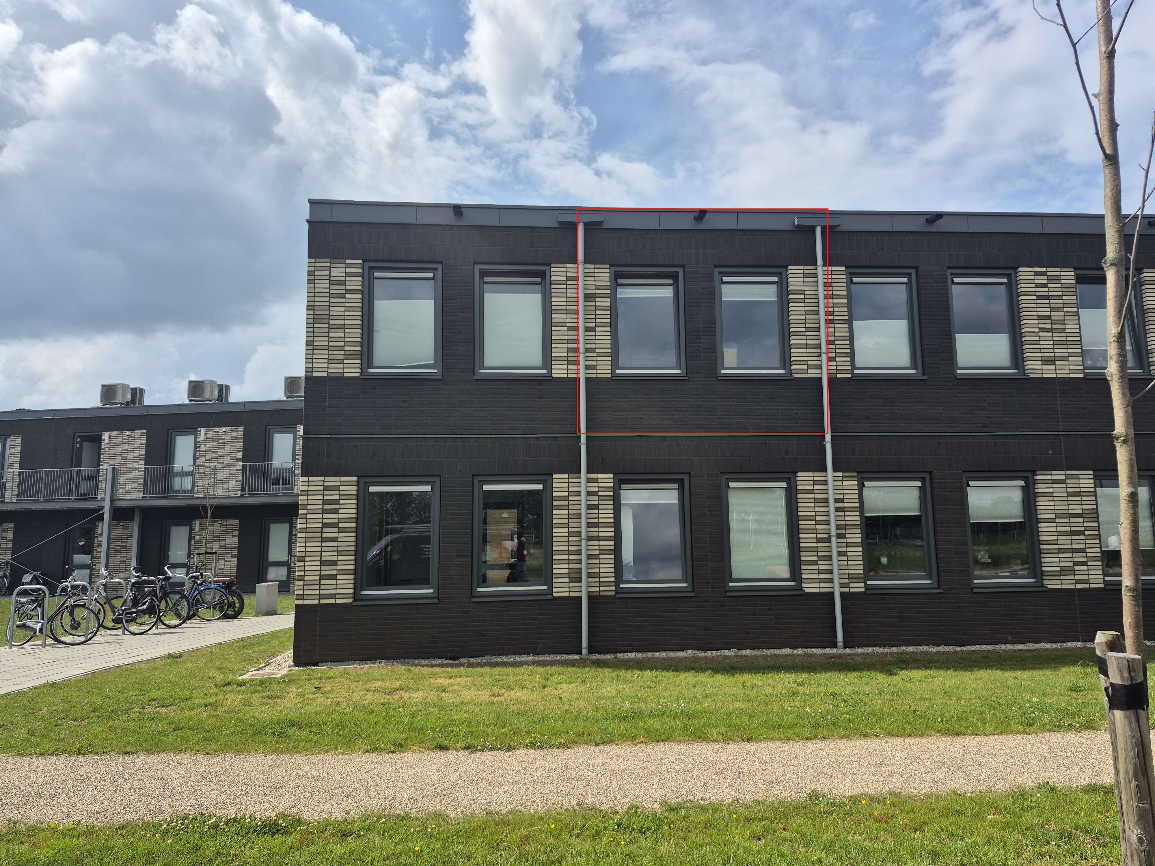Steenanjer , 7742 Coevorden, Nederland