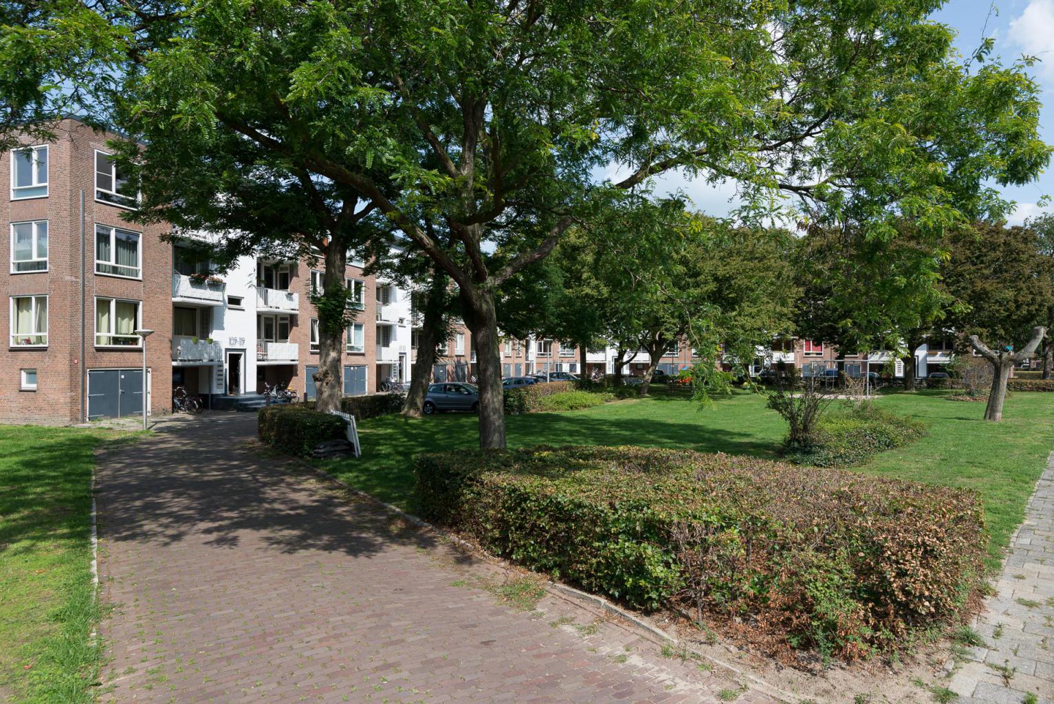 Pieter Steynstraat 117