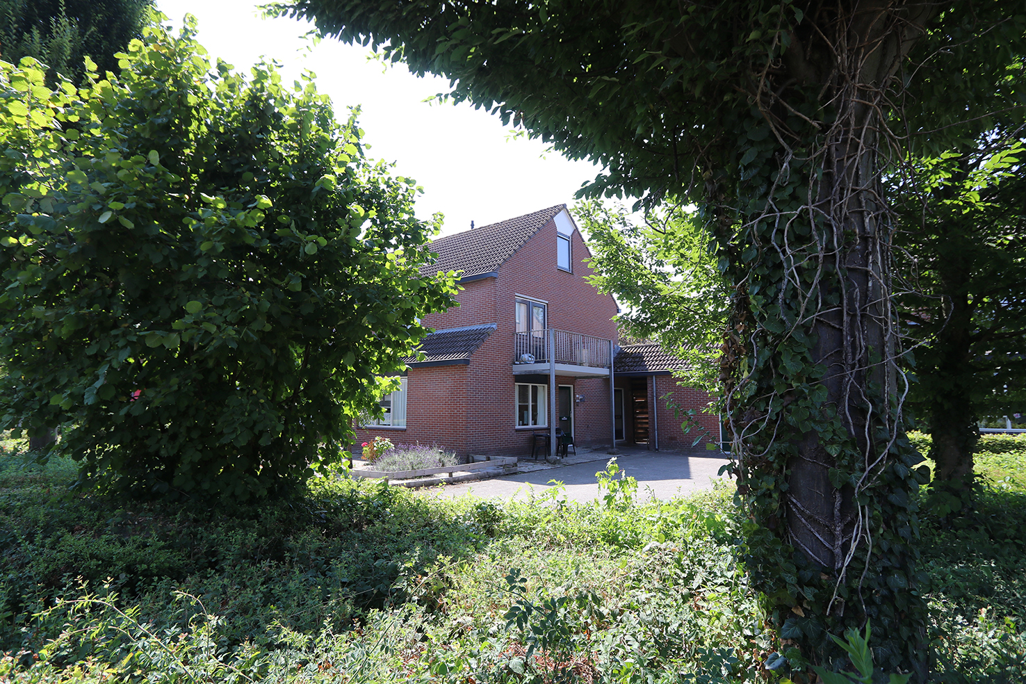 Kattedoorn 112, 8265 MK Kampen, Nederland