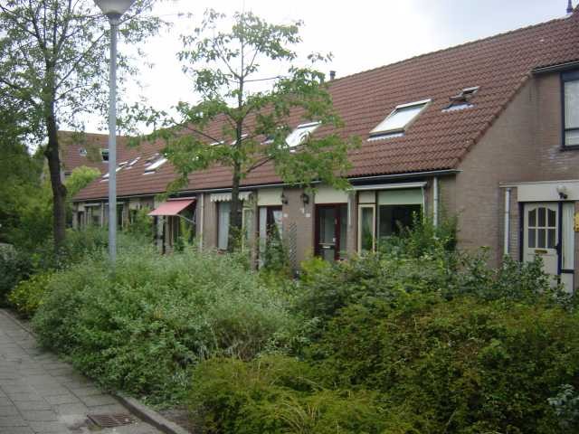 Veenmos 235, 8265 HX Kampen, Nederland